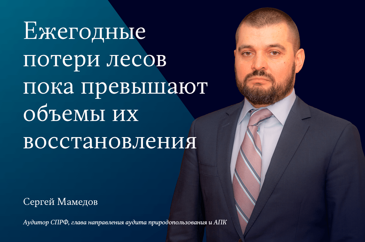 Ежегодные потери лесов пока превышают объемы их восстановления